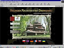 przyk�ady tworzonych stron internetowych