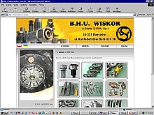 przyk�ady tworzonych stron internetowych