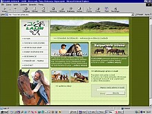 przyk�ady tworzonych stron internetowych